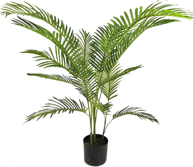 Bimë dekorative Areca I në vazo, ngjyrë e gjelbër, Inart, H120cm