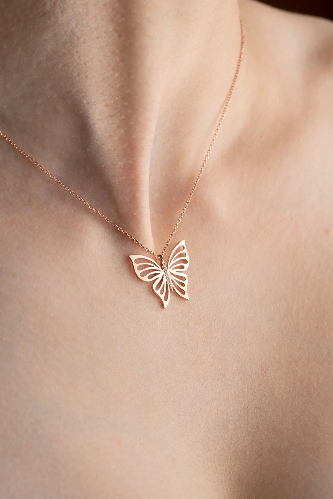 Varëse argjendi, flutur, Jumeon, NRZ998179