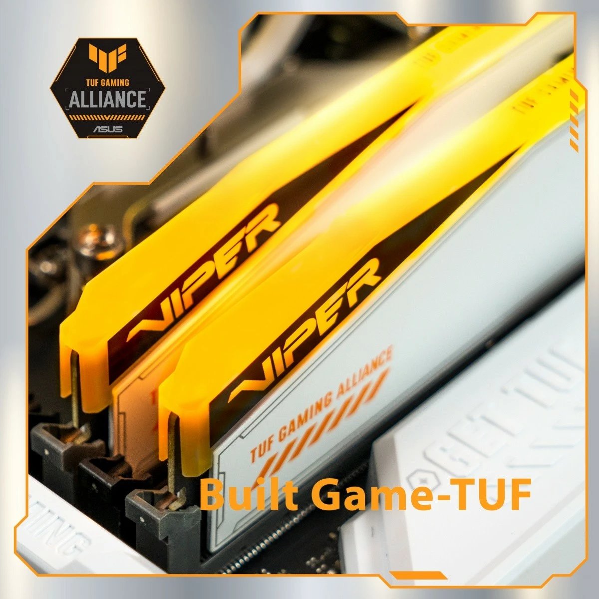 RAM Memorje Patriot Viper Elite 5 RGB TUF, 32GB (2x16GB), DDR5, 6600MHz, CL34, Bardhë