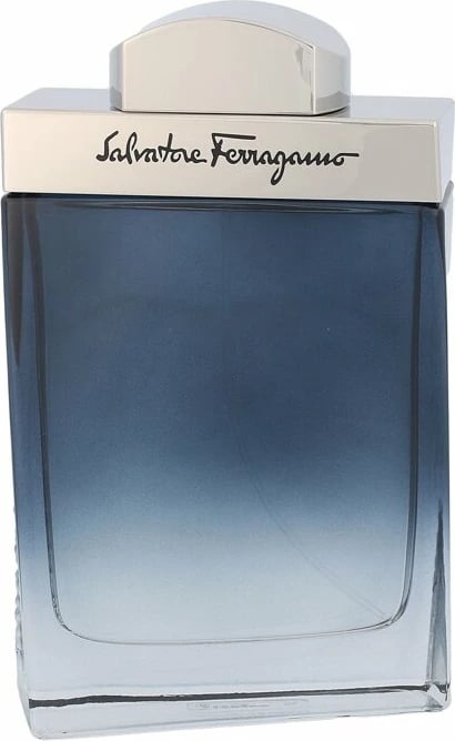 Eau de Toilette Ferragamo Subtil për meshkuj, 100ml