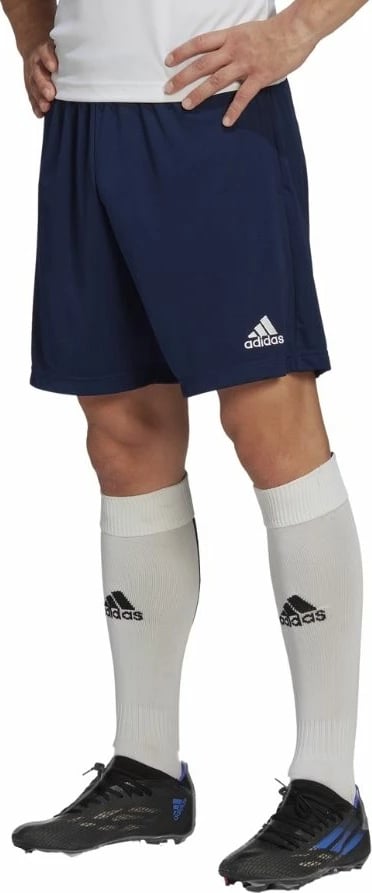 Shorce për meshkuj adidas, navy