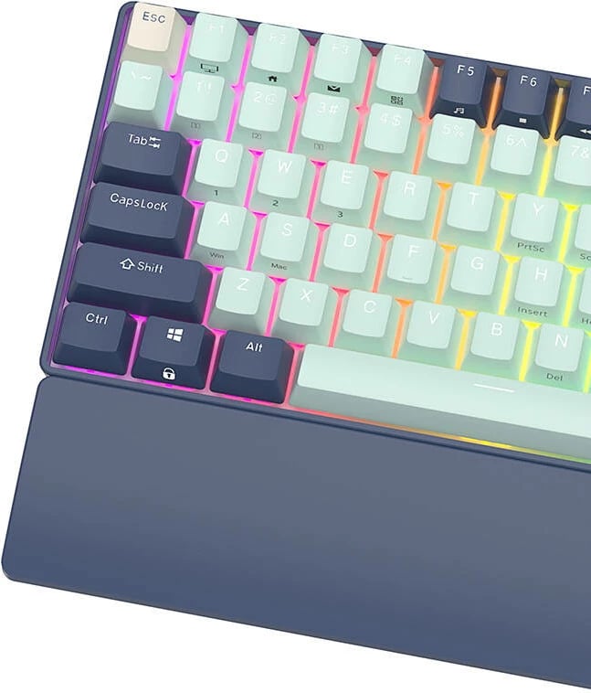 Tastierë mekanike Royal Kludge RK96 RGB, brown switch, 96 taste, blu