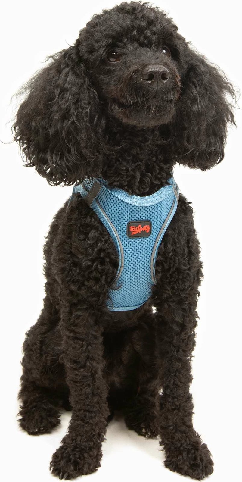 Parzmore për qen, Air-Mesh, ngjyrë kaltër, Paws & Whiskers