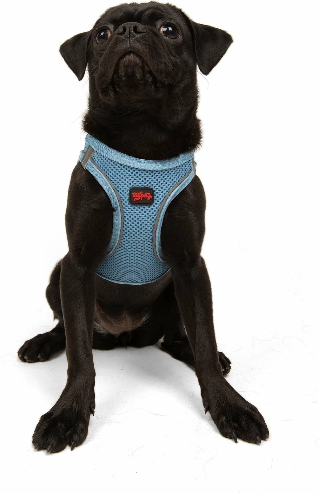 Parzmore për qen, Air-Mesh, ngjyrë kaltër, Paws & Whiskers