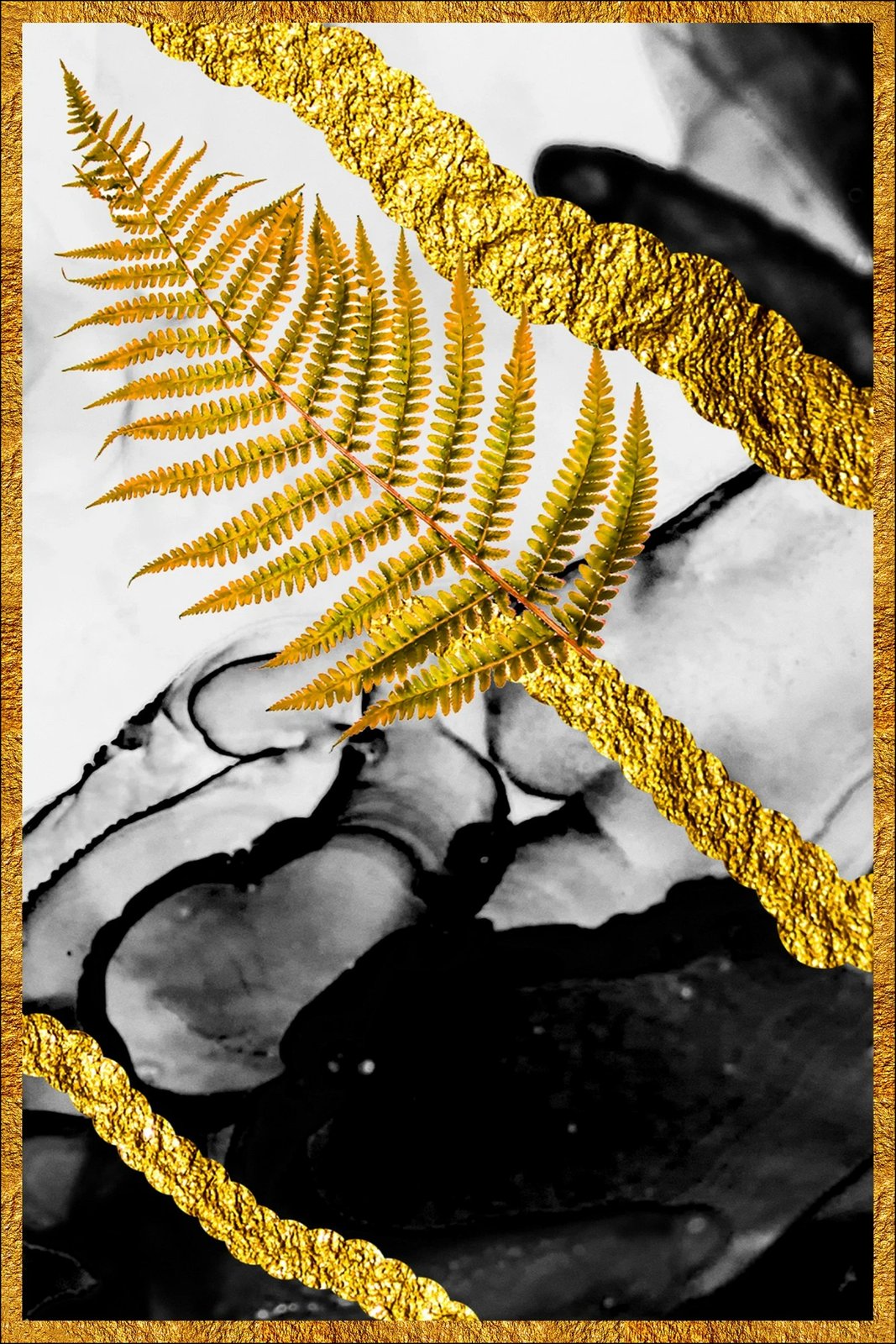 Set tapetash për banjo (2 copë), Mijolnir, CT-5267