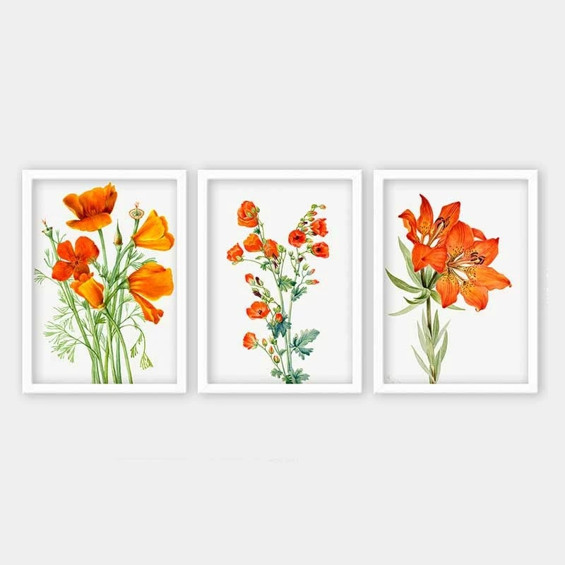 Pikturë dekorative me kornizë (3 copë), Wallity, 3BC_12613512_5575