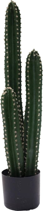 Bimë dekorative kaktus III në vazo, Inart, jeshile, pp, H85cm