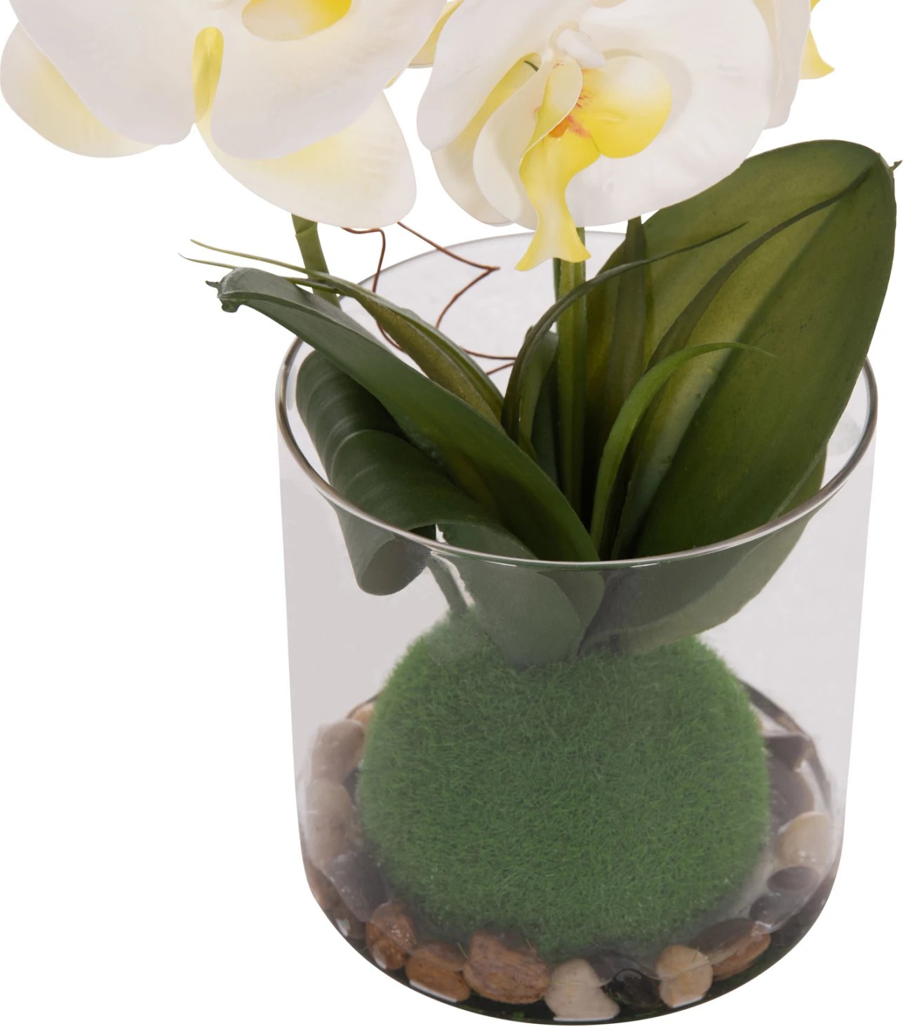 Lule dekorative sintetike Phalaenopsis në vazo qelqi, 12x24x30cm