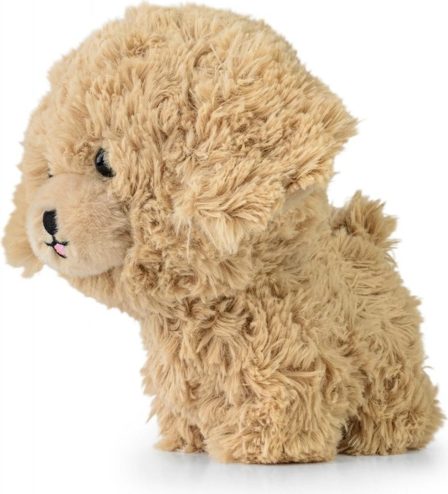 Lodër pelushi Daffi Teddy Pets Golden Poodle, 19 cm, Bezhe
