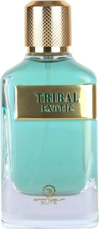 Eau de Parfum për meshkuj Grandeur Tribal Exotic, 100ml