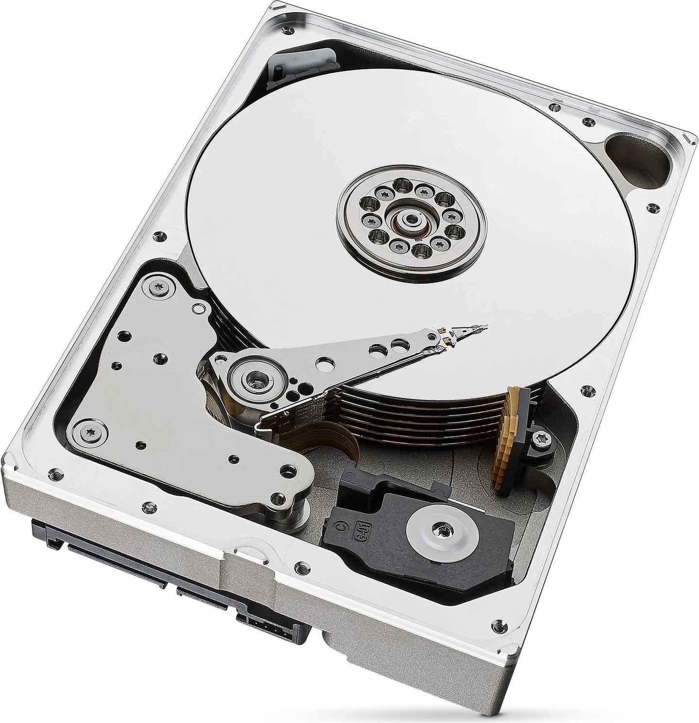 Hardisk i brendshëm Seagate SkyHawk AI, 10TB