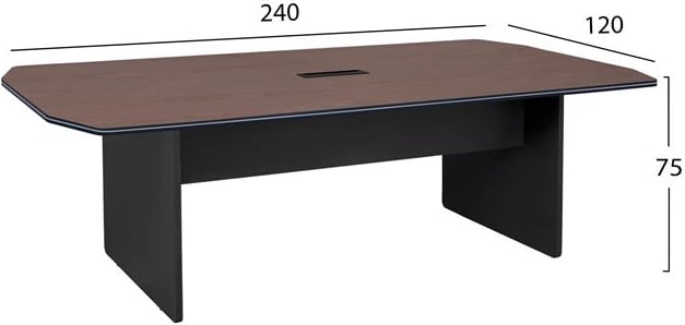Tavolinë profesionale për takime, ngjyrë arre, 240x120x75, FH2103.02