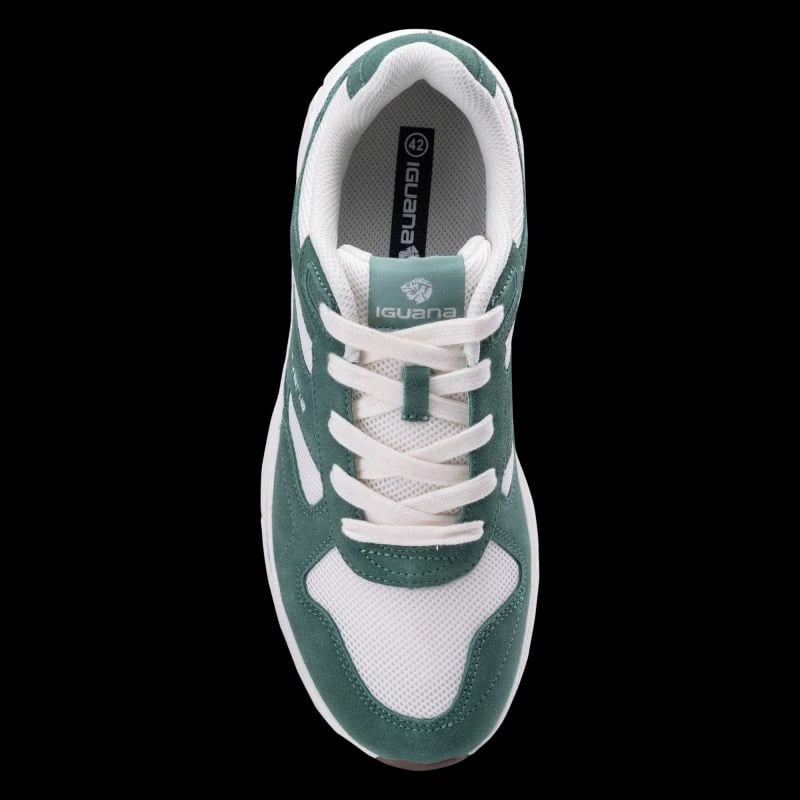 Atlete për meshkuj Iguana