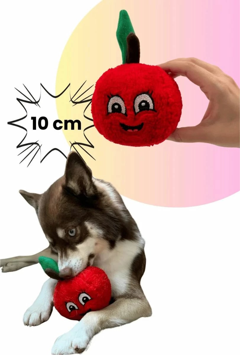 Lodër për qen, Paws & Whiskers, Havhav 1014, ngjyrë e kuqe, 12x14cm