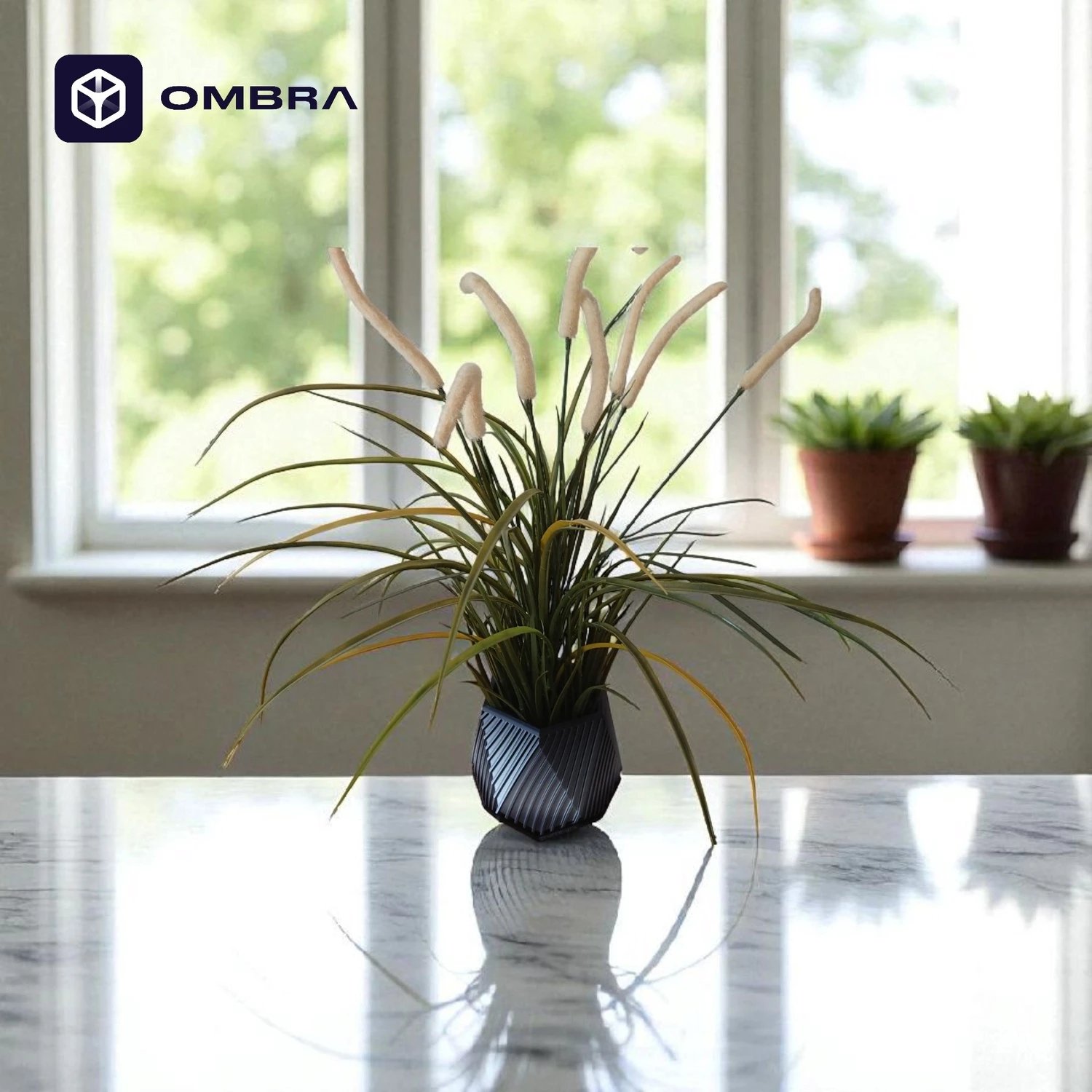 Vazo dekorative heksagonale me Brazda për bimë, e zezë