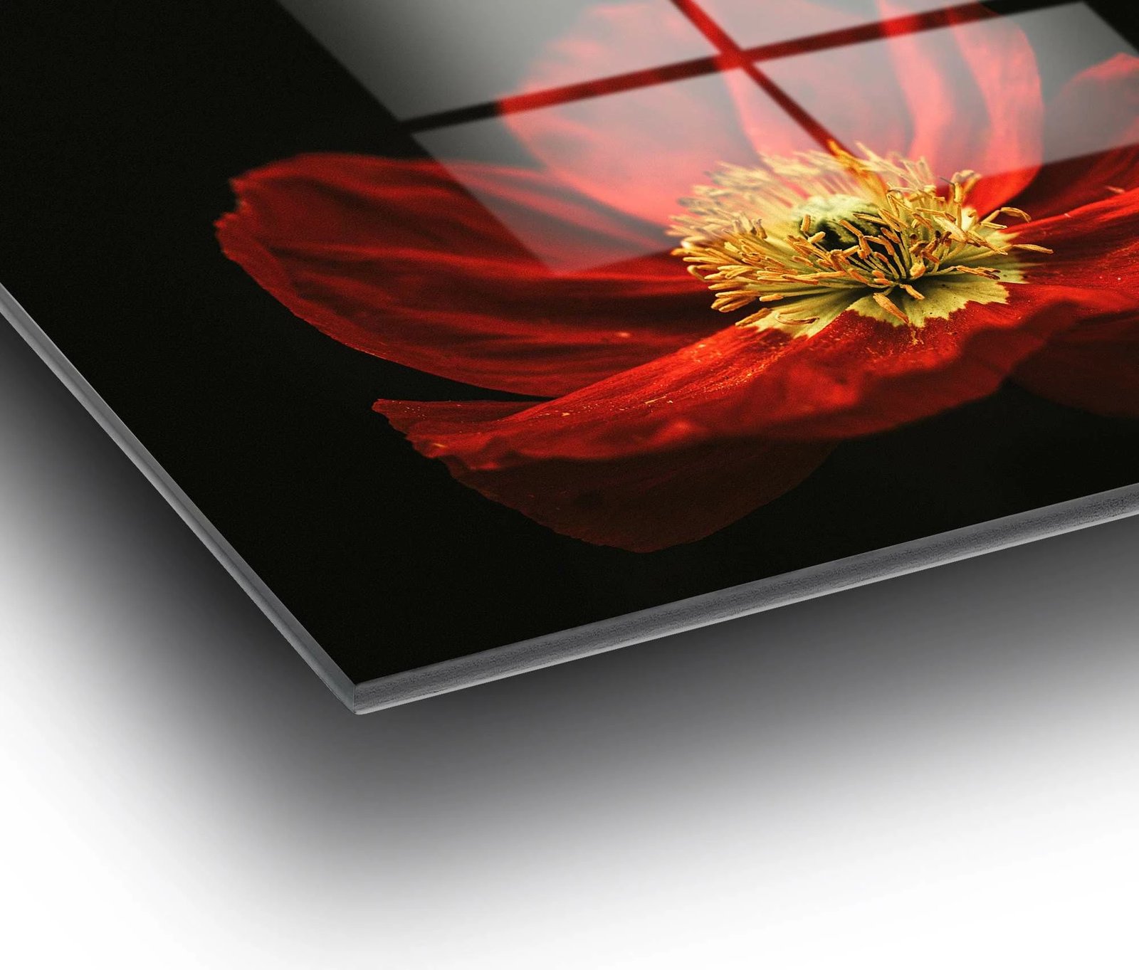 Pikturë dekorative prej xhami të temperuar, lulekuqe, UV-204, 70x100cm