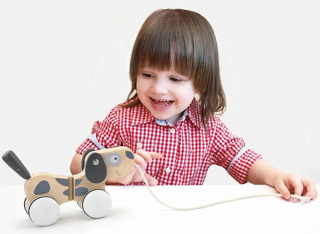 Lodër druri për t’u tërhequr me litar, Viga, Dog, 18m+, dru fagu, multikolor