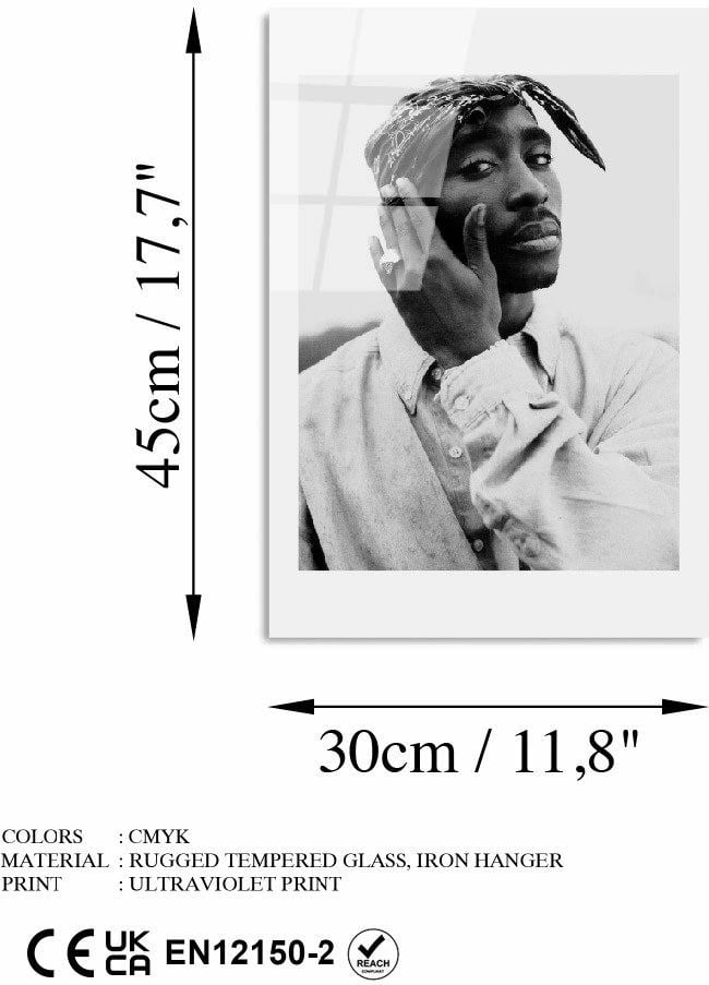 Pikturë dekorative prej xhami të temperuar, Wallity UV-994, 30x45cm