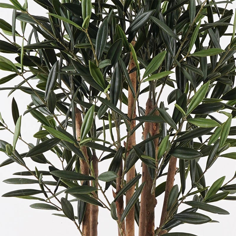 Bimë dekorative në vazo Olia, ngjyrë e gjelbër, D52x120cm