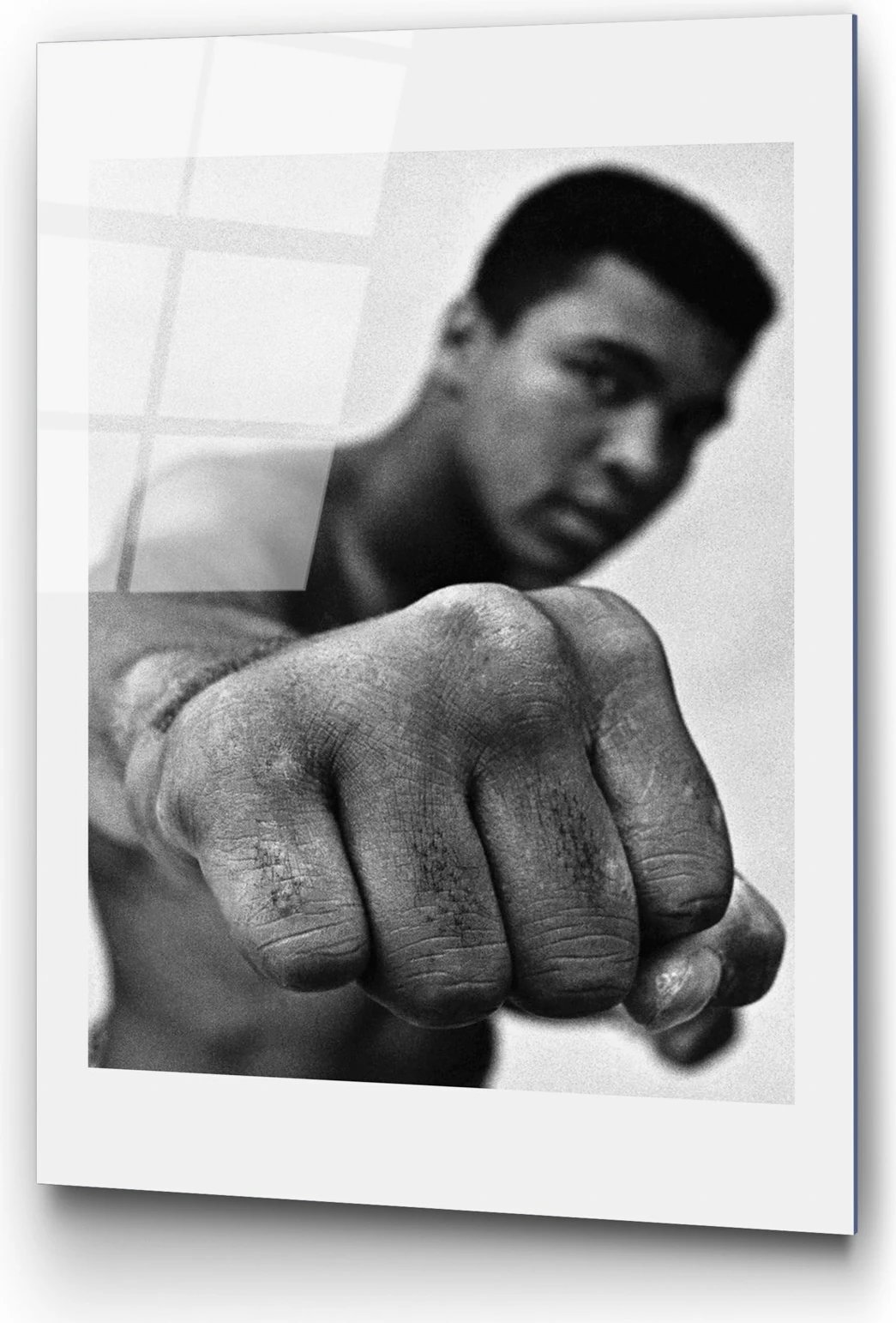 Pikturë dekorative prej xhami të temperuar Wallity, UV-991, 30x45cm