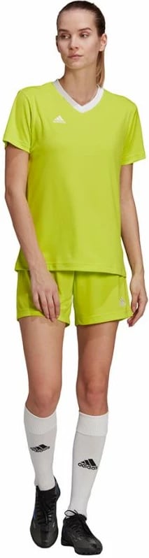 Maicë për Femra adidas Entrada 22 Jsy, ngjyrë jeshile HC5080