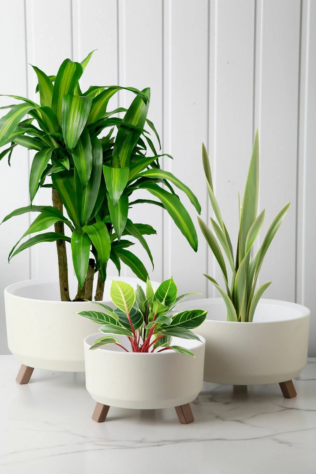 Set vazo të bardha Aberto Design, TRPTSKS-4-3