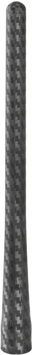 Antene Carbon