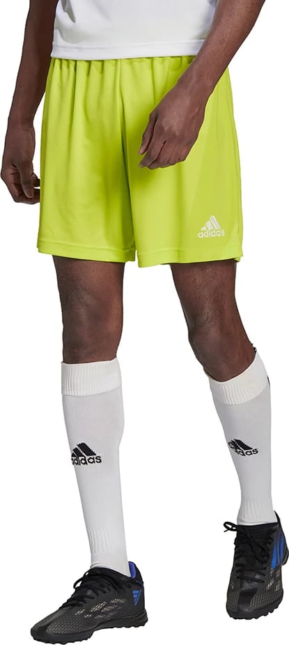 Shorce për meshkuj adidas, të gjelbra