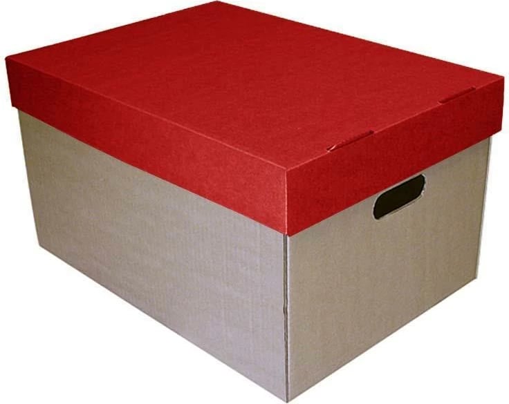 Kuti ruajtëse NEXT me kapak burgundy, H30x53x38cm