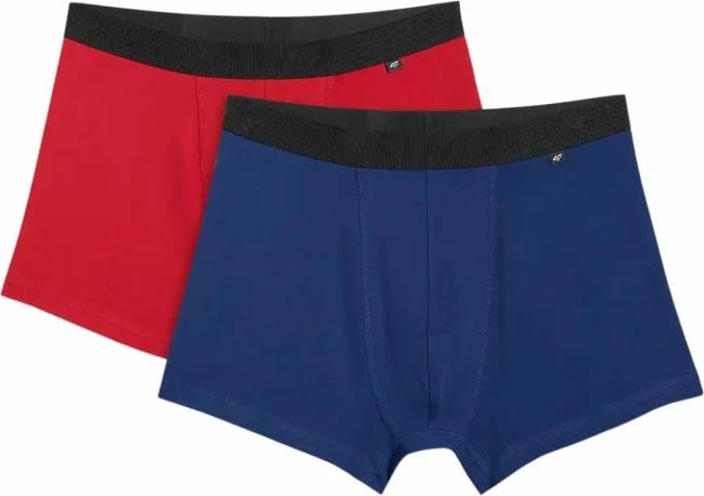 Të brendshme për meshkuj 4F, multicolor