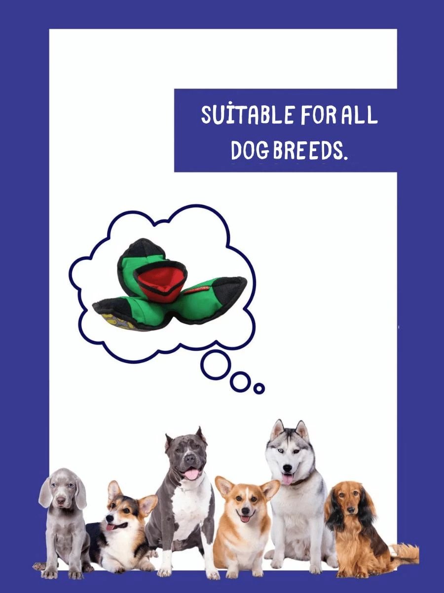 Lodër për qen, Paws & Whiskers, Havhav 1002, ngjyrë e gjelbër/verdhe/zezë, 14x14cm