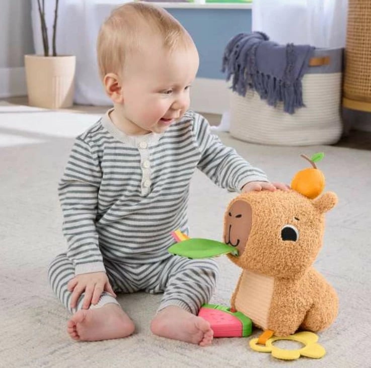 Lodër pelushi sensorike Fisher Price Capybara HYR54, shumëngjyrëshe