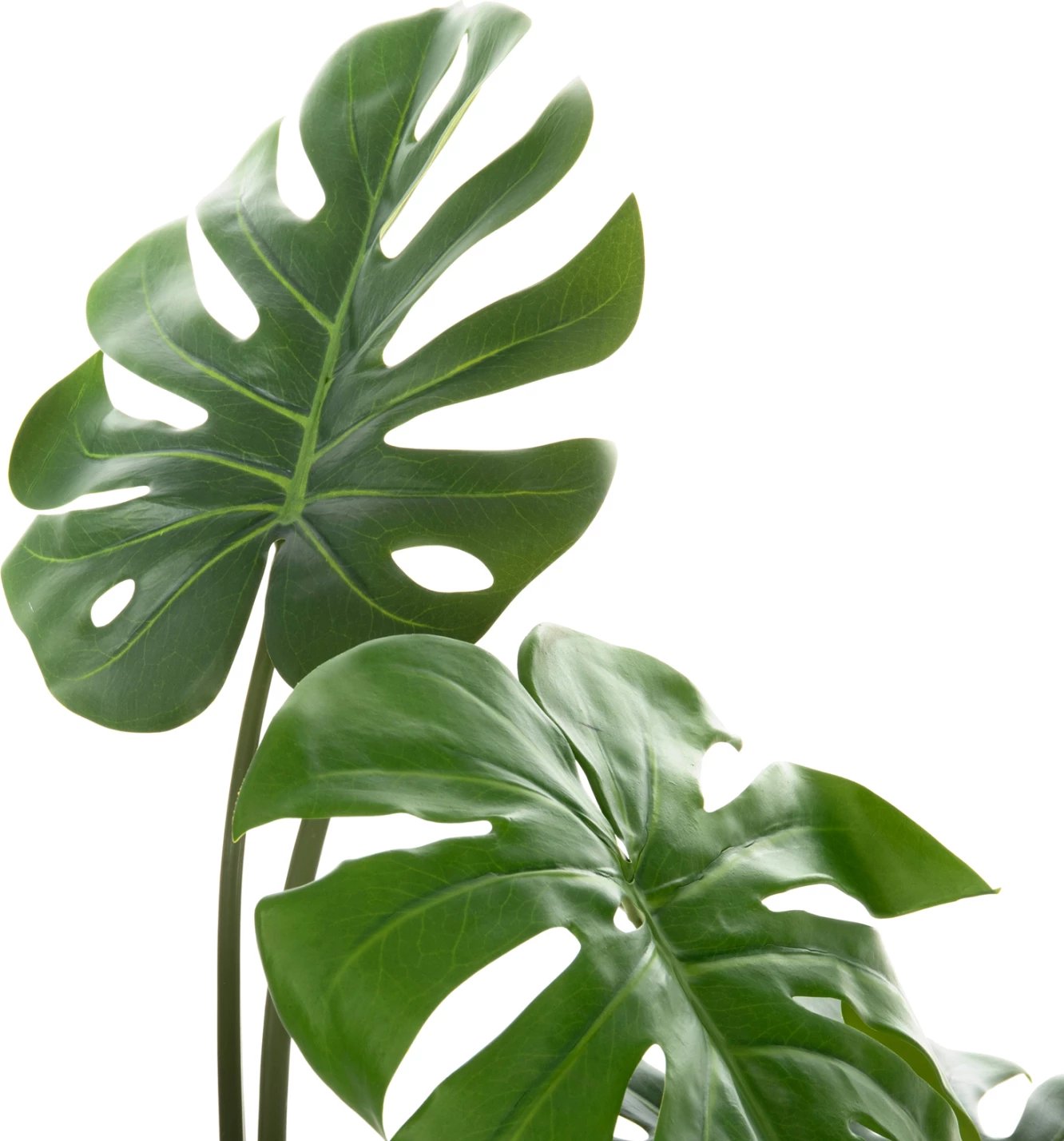 Bimë sintetike dekorative, FH7991, Monstera, në vazo, 100H cm