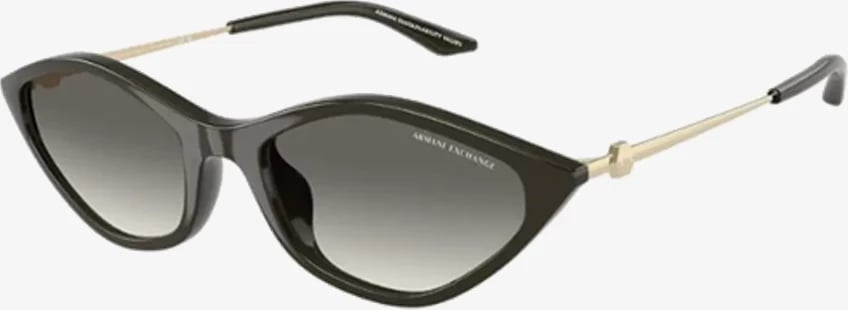 Syze dielli Armani Exchange AX4152SU 836711 55