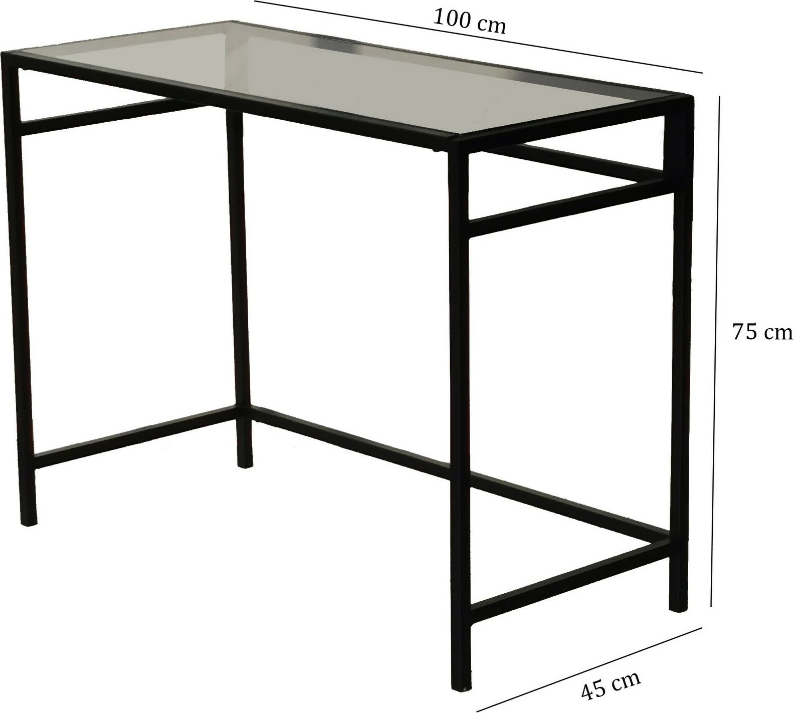 Tavolinë studimi Hanah Home, Network Çalışma Masası, 100x45cm, M100F