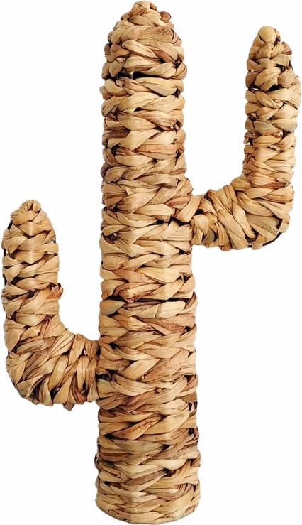 Dekor kaktusi nga bar deti, natyral, 35x13x60cm