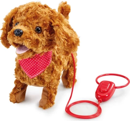 PPP WALK ALONG COCKAPOO