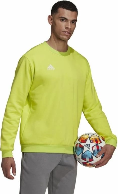 Duks për meshkuj adidas, jeshil