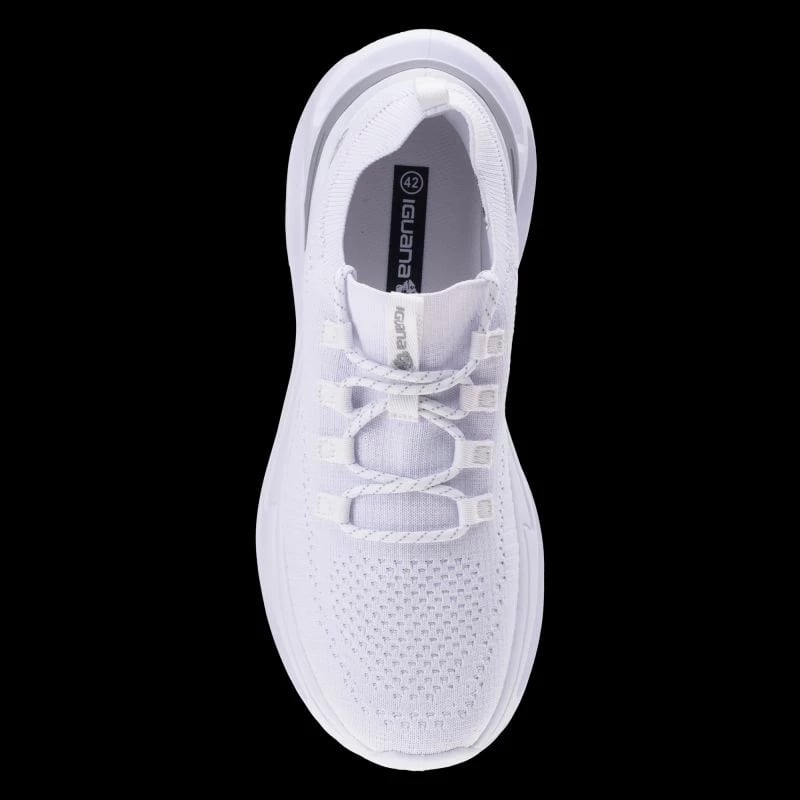 Këpucë për meshkuj Iguana