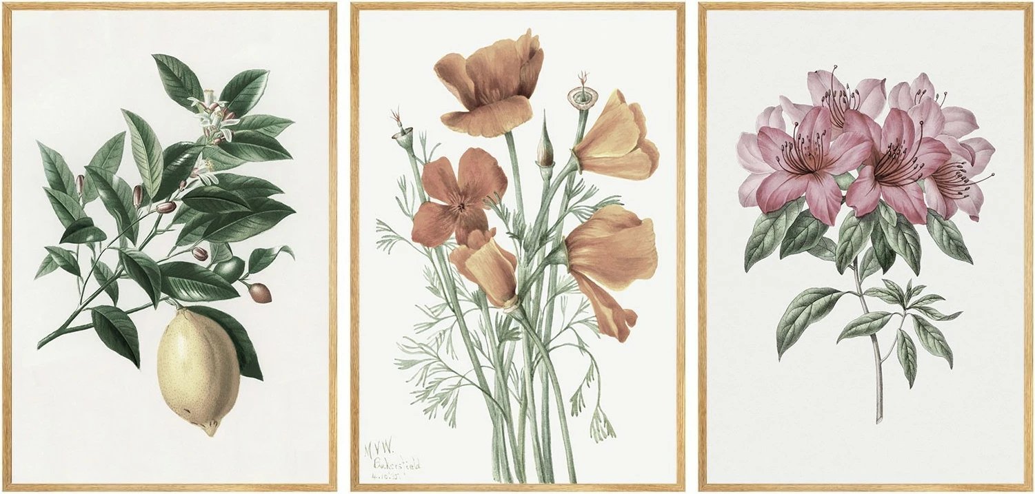 Pikturë dekorative me kornizë, MDF, 3 copë, Wallity, Huhu278, 50x35cm