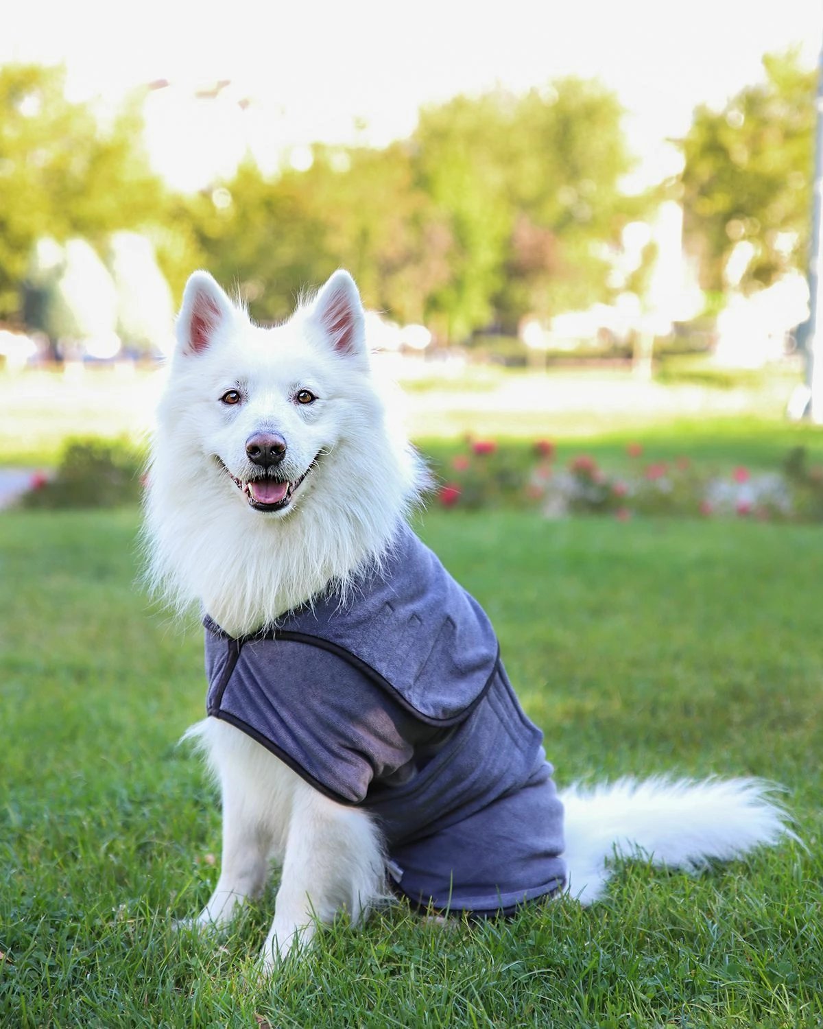 Rrobë banje për qen, ngjyrë gri, Paws & Whiskers, Drygown, XL