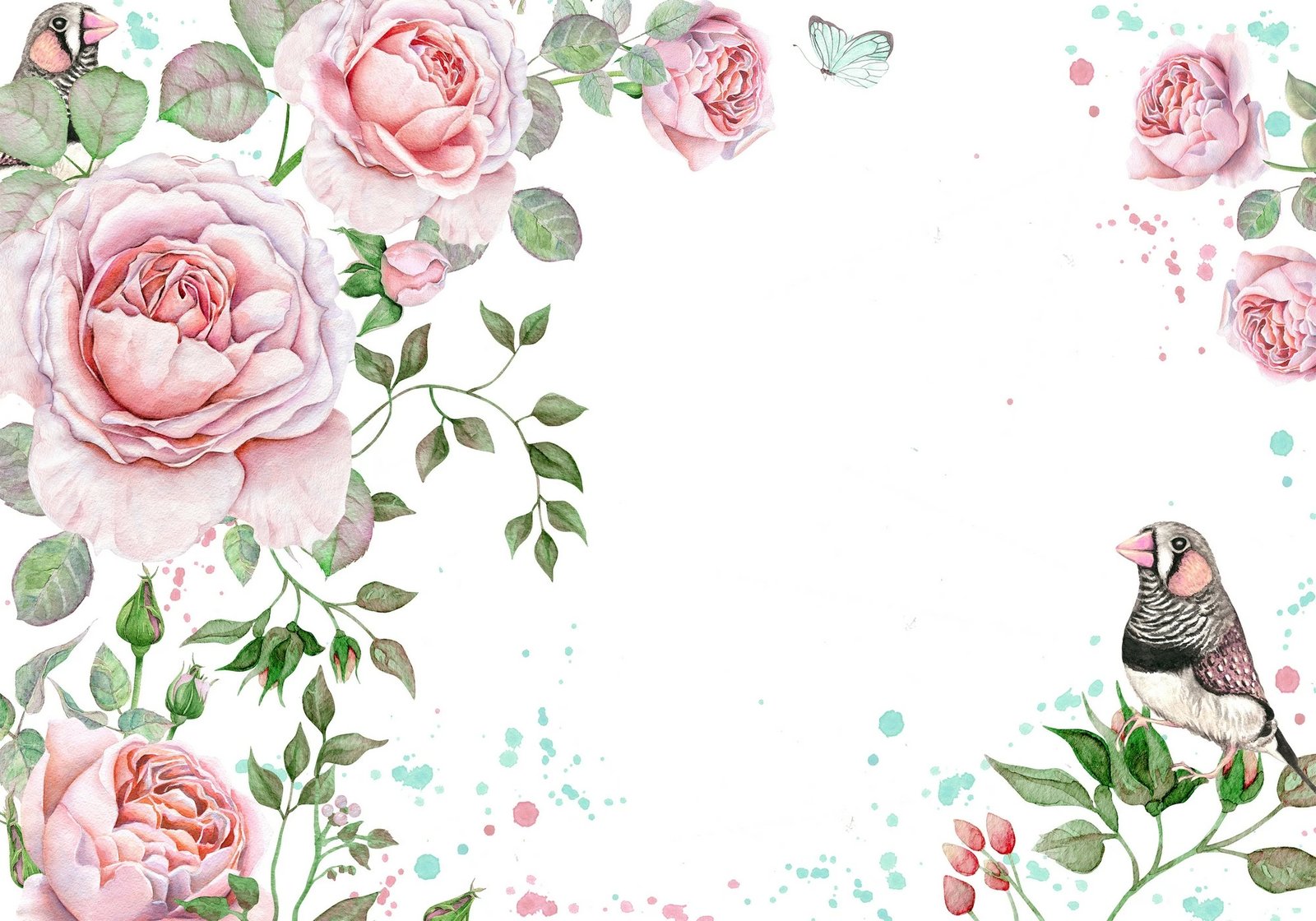 Set tapetash për banjo, 2 copë, Mijölnir, CT-5222