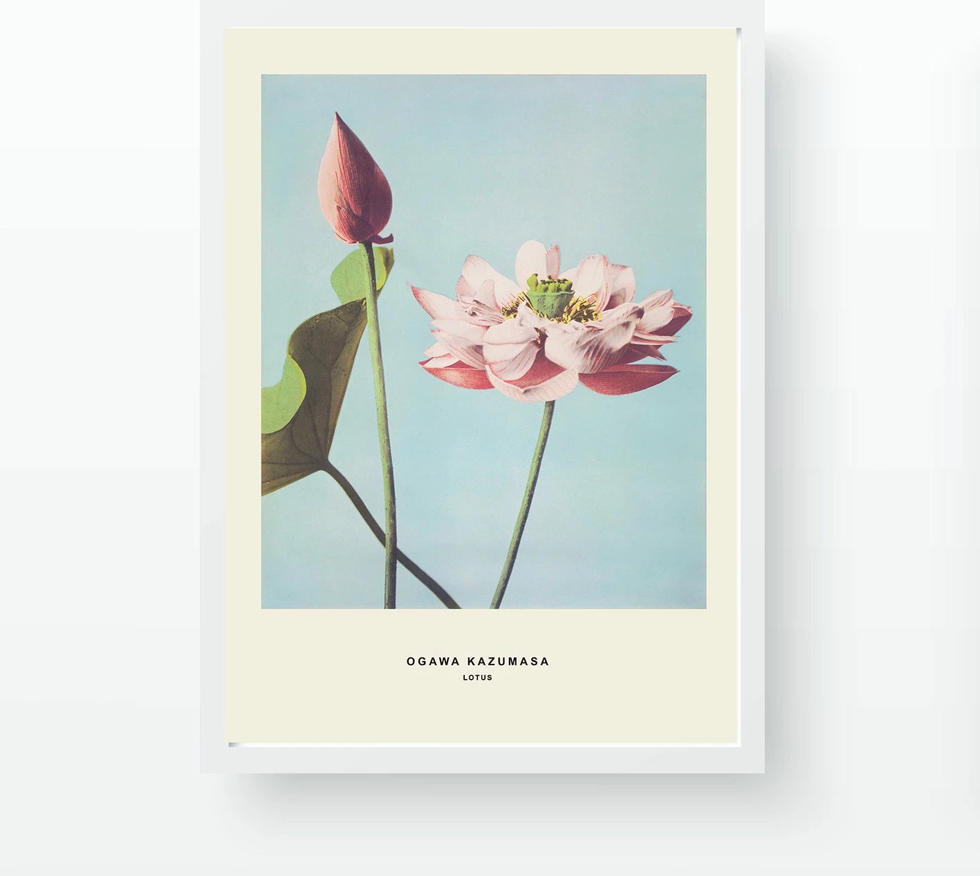 Pikturë dekorative me kornizë, Wallity, BC523362-5575