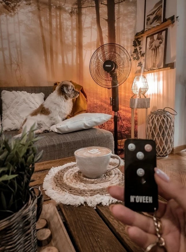 Ventilator N'OVEEN F455 me telekomandë, 16"/40 cm, i zi