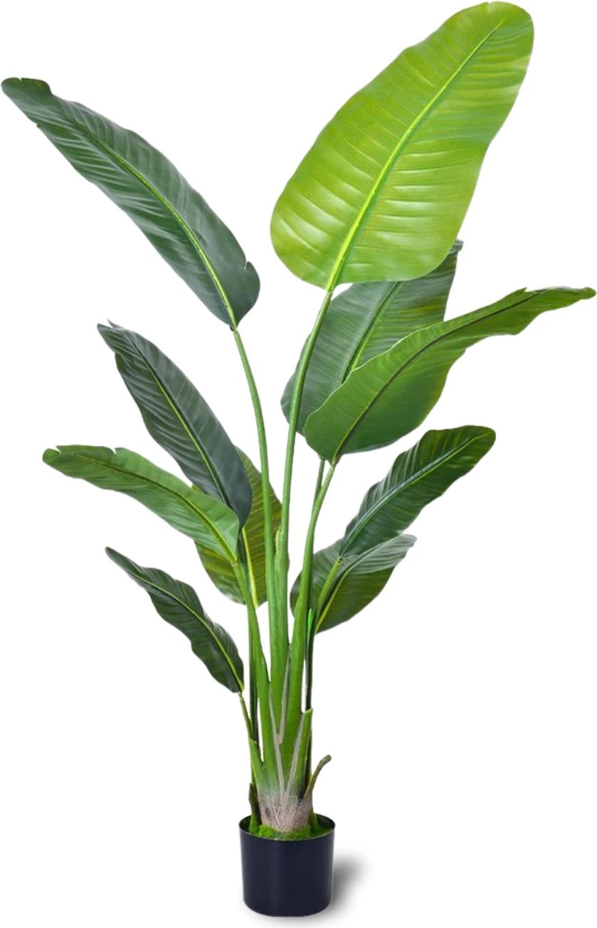 Bimë artificiale Travellers‘ Palm, 180 cm