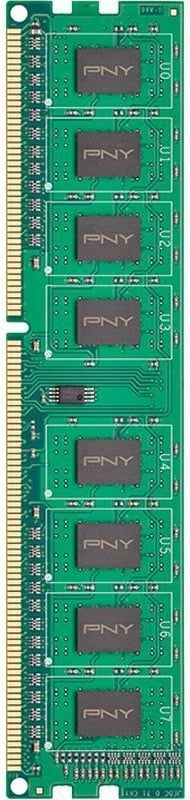 RAM Memorje PNY DIM8GBN12800/3-SB, 8GB, DDR3, 1600MHz, CL11
