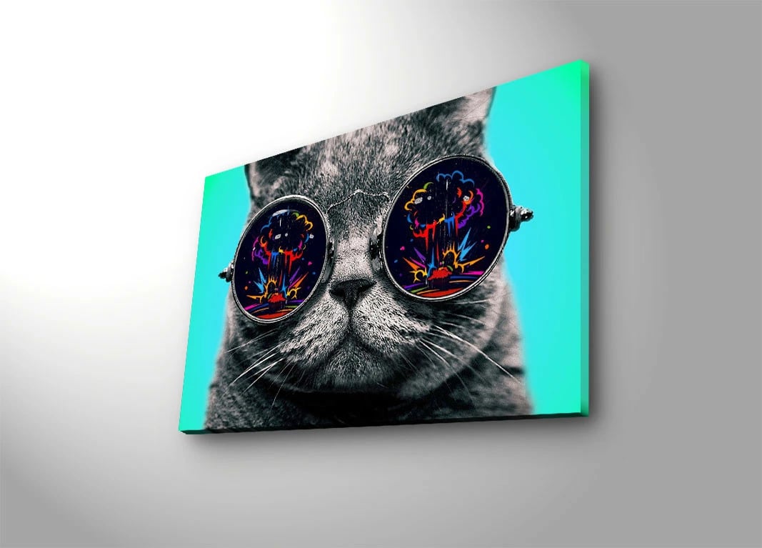 Pikturë dekorative me drita LED, shumëngjyrëshe, 45x70cm, 4570DACT-61