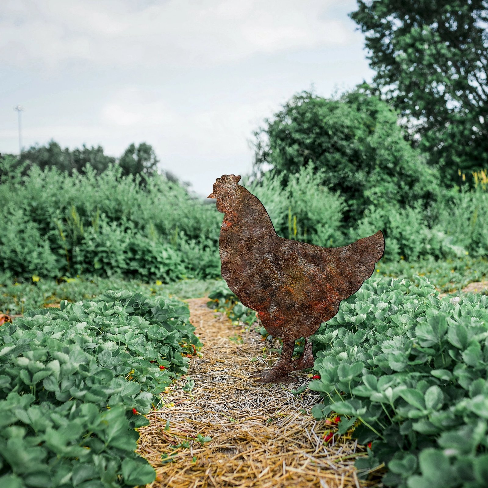 Objekt dekorativ për kopsht, dizajn Aberto, pulë, A 01
