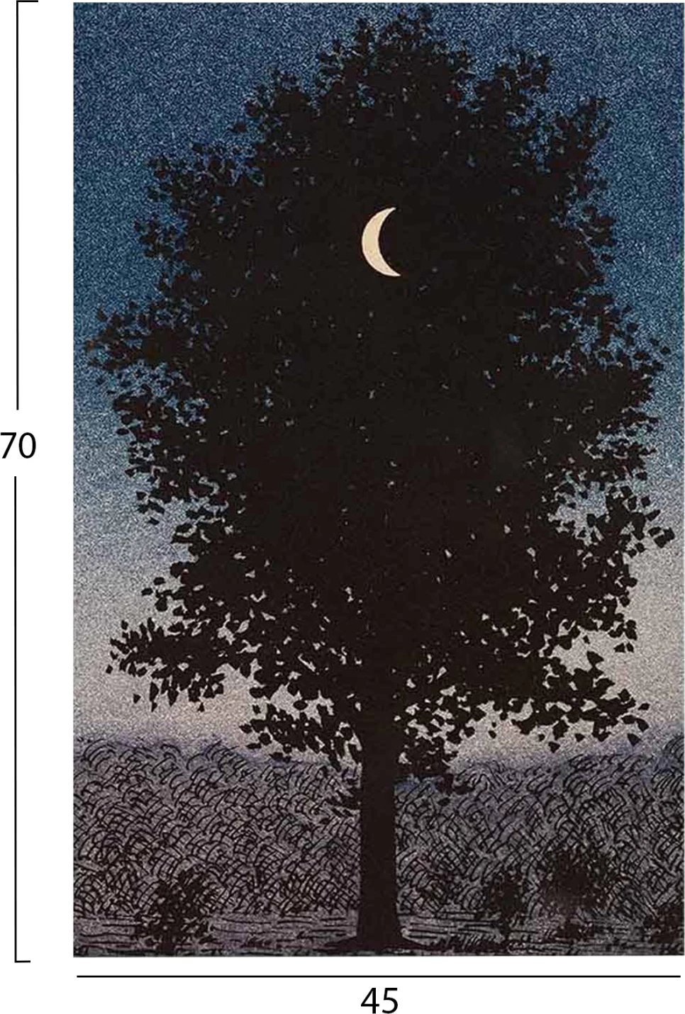 Pikturë muri GOBI FH4850, kanavacë e printuar, 45x3x70cm