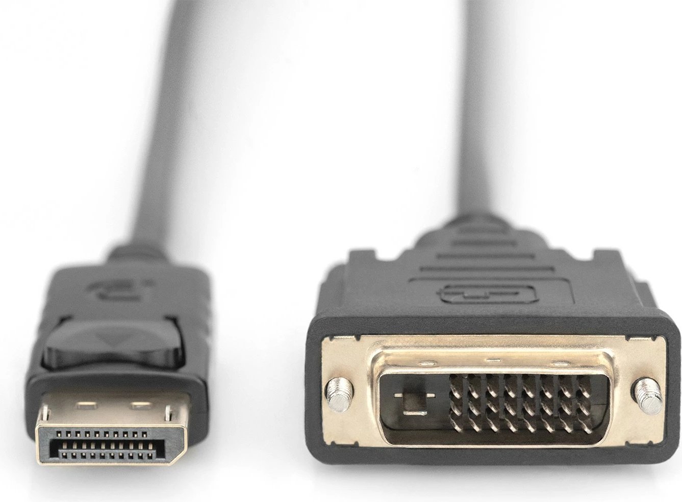 Kabëll adapter DisplayPort në DVI-D Digitus, 3m, i zi